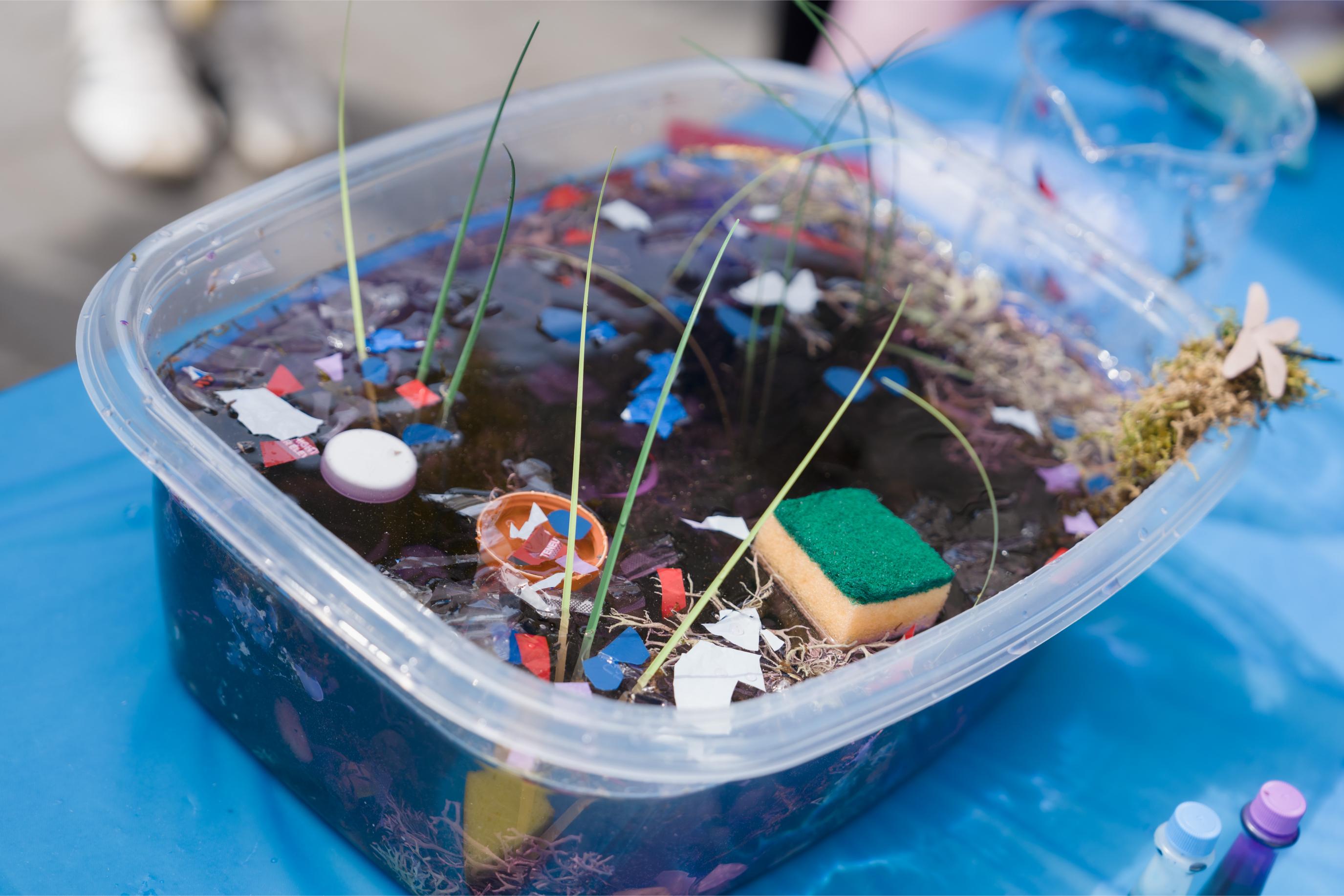 A container containing water and various plastic and pollutants to demonstrate a polluted pond.